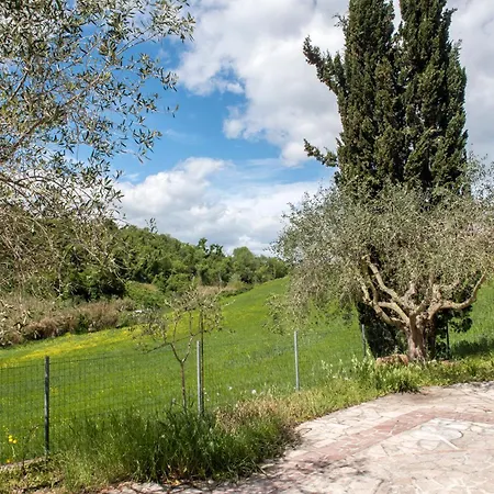 N202 - Numana, Ampio Bilocale Con Portico