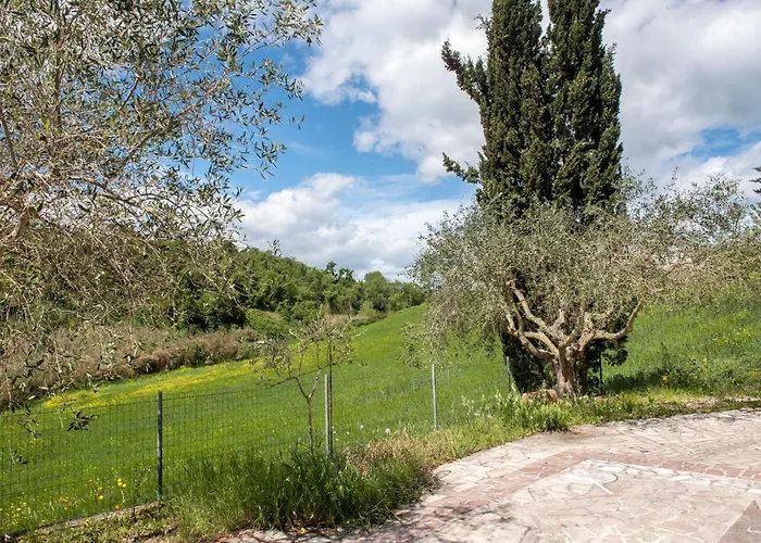 N202 - Numana, Ampio Bilocale Con Portico