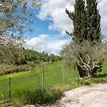 N202 - Numana, Ampio Bilocale Con Portico